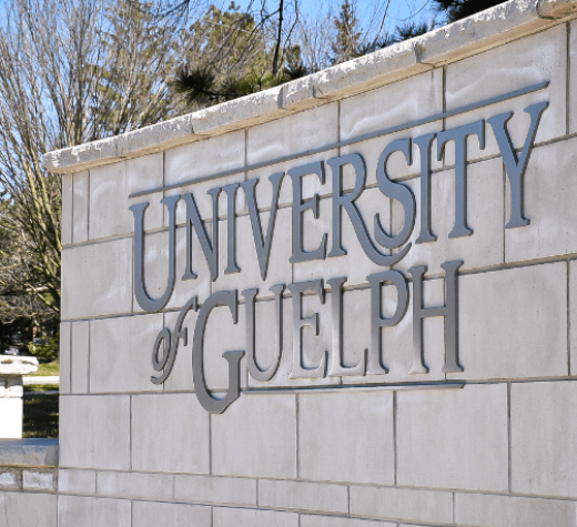 Mohammadreza Riyazat